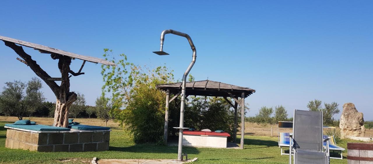 Casa Daniele Pensionat Canino Exteriör bild