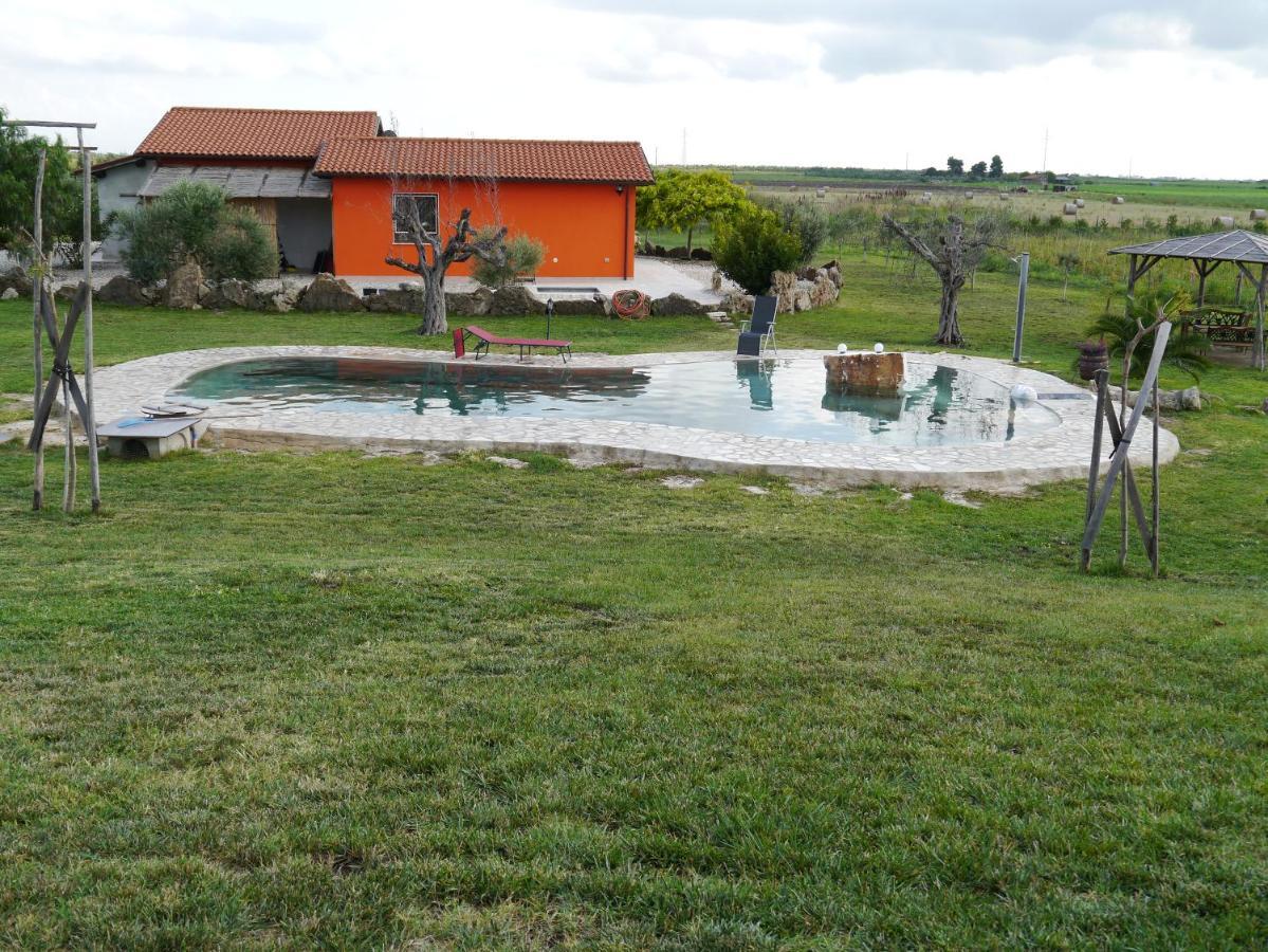 Casa Daniele Pensionat Canino Exteriör bild