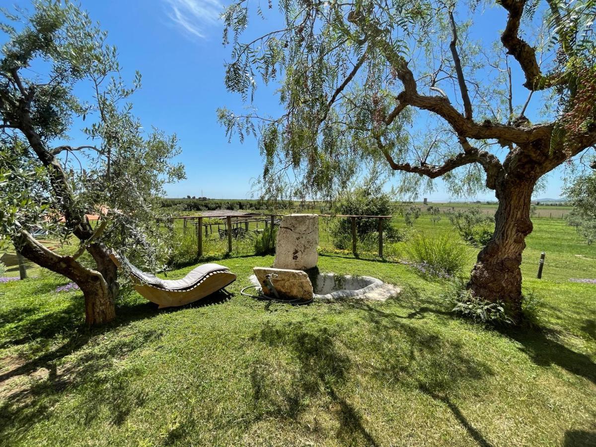 Casa Daniele Pensionat Canino Exteriör bild