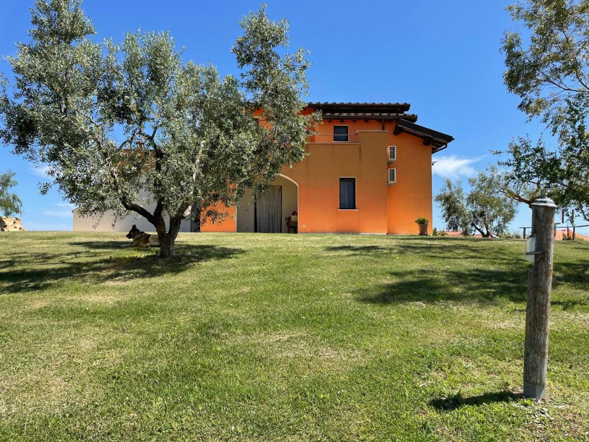 Casa Daniele Pensionat Canino Exteriör bild